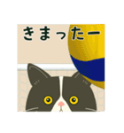 【ハチワレぶーにゃん】スポーツ観戦•応援（個別スタンプ：10）