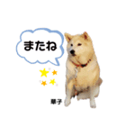 華空姉妹（個別スタンプ：4）