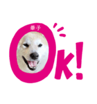 華空姉妹（個別スタンプ：6）