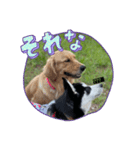 エドワードとモイの日常（個別スタンプ：1）