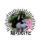 エドワードとモイの日常（個別スタンプ：2）