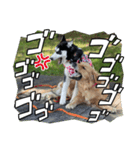 エドワードとモイの日常（個別スタンプ：4）