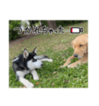 エドワードとモイの日常（個別スタンプ：6）