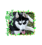 エドワードとモイの日常（個別スタンプ：8）