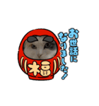 ABC cats and don'tdogs（個別スタンプ：3）