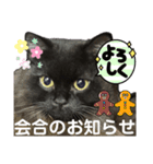 黒猫 ルナ院長152にゃんめ（個別スタンプ：3）