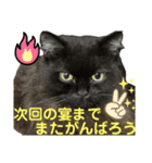 黒猫 ルナ院長152にゃんめ（個別スタンプ：8）