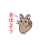 我が家のイラストうさぎ（個別スタンプ：1）