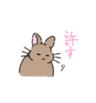 我が家のイラストうさぎ（個別スタンプ：7）