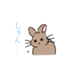 我が家のイラストうさぎ（個別スタンプ：13）