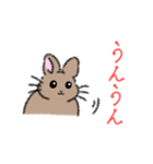 我が家のイラストうさぎ（個別スタンプ：39）