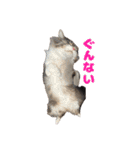 愛すべき家族たち1（個別スタンプ：3）