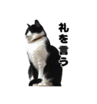 愛すべき家族たち1（個別スタンプ：9）