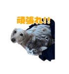 愛すべき家族たち1（個別スタンプ：10）