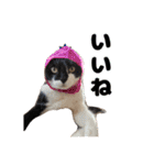 愛すべき家族たち1（個別スタンプ：18）