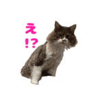 愛すべき家族たち1（個別スタンプ：23）