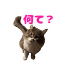 愛すべき家族たち1（個別スタンプ：25）