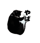 愛すべき家族たち1（個別スタンプ：36）