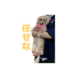 愛すべき家族たち1（個別スタンプ：37）