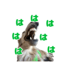 愛すべき家族たち1（個別スタンプ：38）