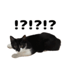 愛すべき家族たち1（個別スタンプ：39）