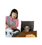 愛すべき家族たち1（個別スタンプ：40）