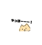 栗猫ちゃんスタンプ（個別スタンプ：1）