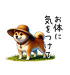 夏の柴犬（個別スタンプ：19）