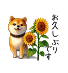 夏の柴犬（個別スタンプ：27）