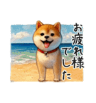 夏の柴犬（個別スタンプ：40）