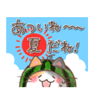 ふんわり＊ねこねこ5【夏】（個別スタンプ：21）