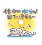 ふんわり＊ねこねこ5【夏】（個別スタンプ：22）