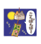 ふんわり＊ねこねこ5【夏】（個別スタンプ：26）