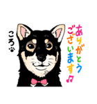 1208ころ（個別スタンプ：1）