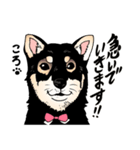 1208ころ（個別スタンプ：3）