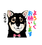 1208ころ（個別スタンプ：4）