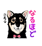 1208ころ（個別スタンプ：7）