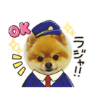 ポメラニアンのモアち（個別スタンプ：1）