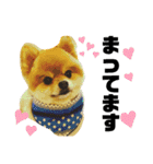 ポメラニアンのモアち（個別スタンプ：7）