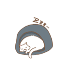 茶ねこ白ねこ（個別スタンプ：9）