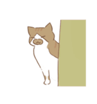 茶ねこ白ねこ（個別スタンプ：39）