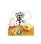 チャホちゃん_202407（個別スタンプ：5）