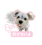チャホちゃん_202407（個別スタンプ：8）