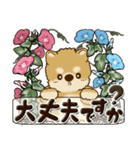 柴犬・茶色い犬 『朝顔を育てましょう』（個別スタンプ：21）