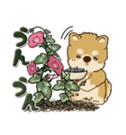 柴犬・茶色い犬 『朝顔を育てましょう』（個別スタンプ：29）