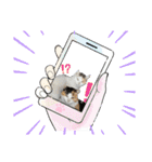 猫のニャースとしろちゃん（個別スタンプ：7）