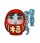 猫のニャースとしろちゃん（個別スタンプ：8）