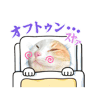 猫のニャースとしろちゃん（個別スタンプ：10）