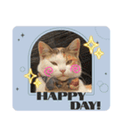 猫のニャースとしろちゃん（個別スタンプ：13）