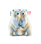 Twin polar bears（個別スタンプ：4）